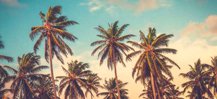 10 sites Jimdo utilisant le design Miami